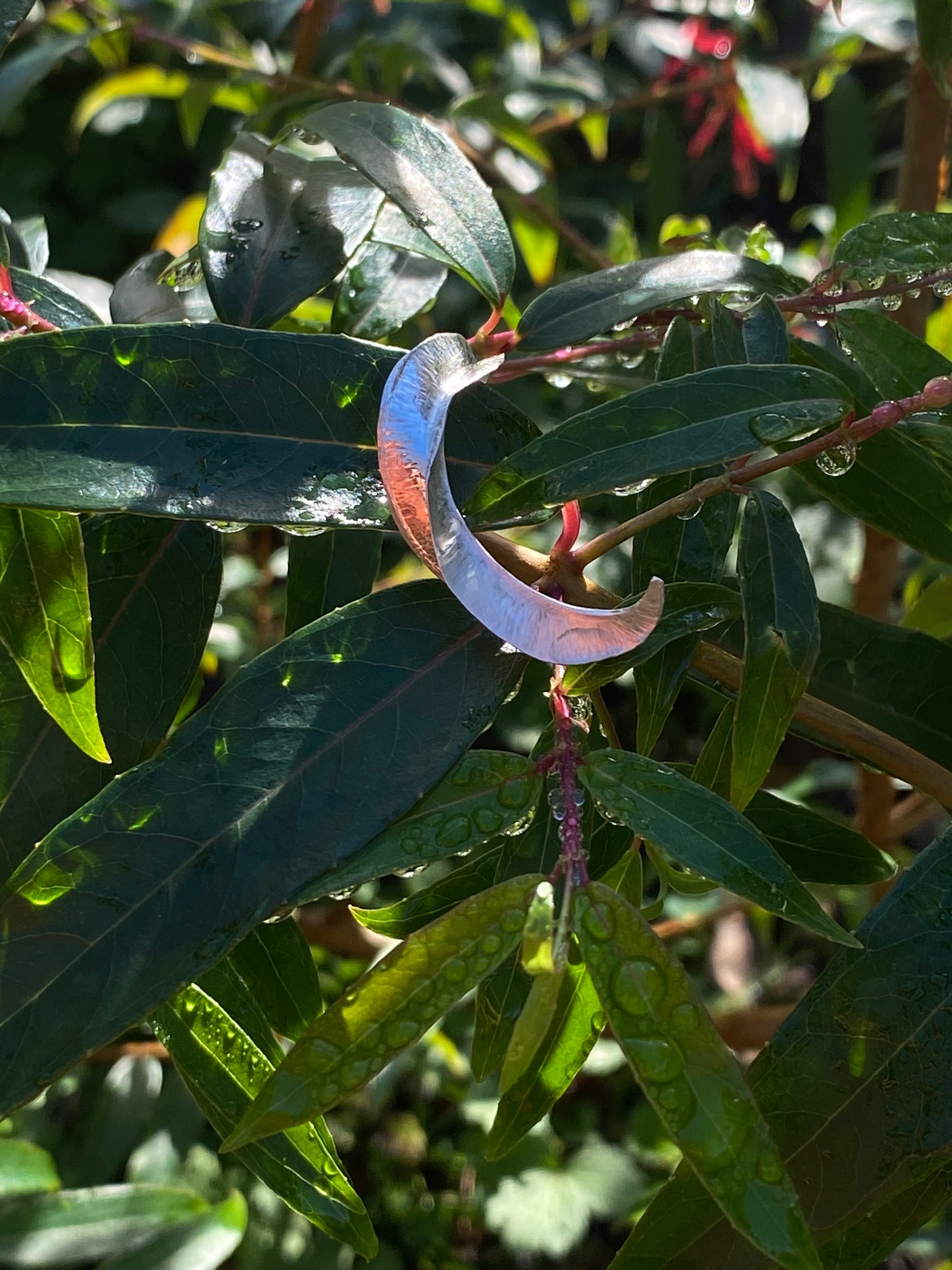 Fuchsia Leaf Spiral Pendant