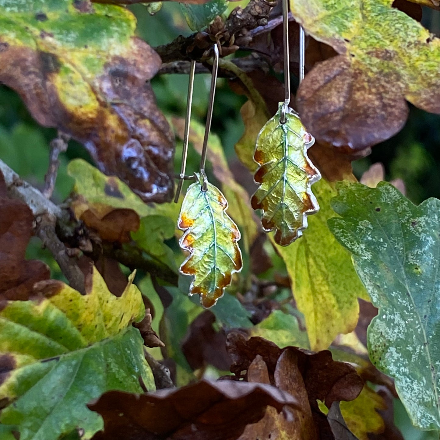 Oak Leaf Earrings