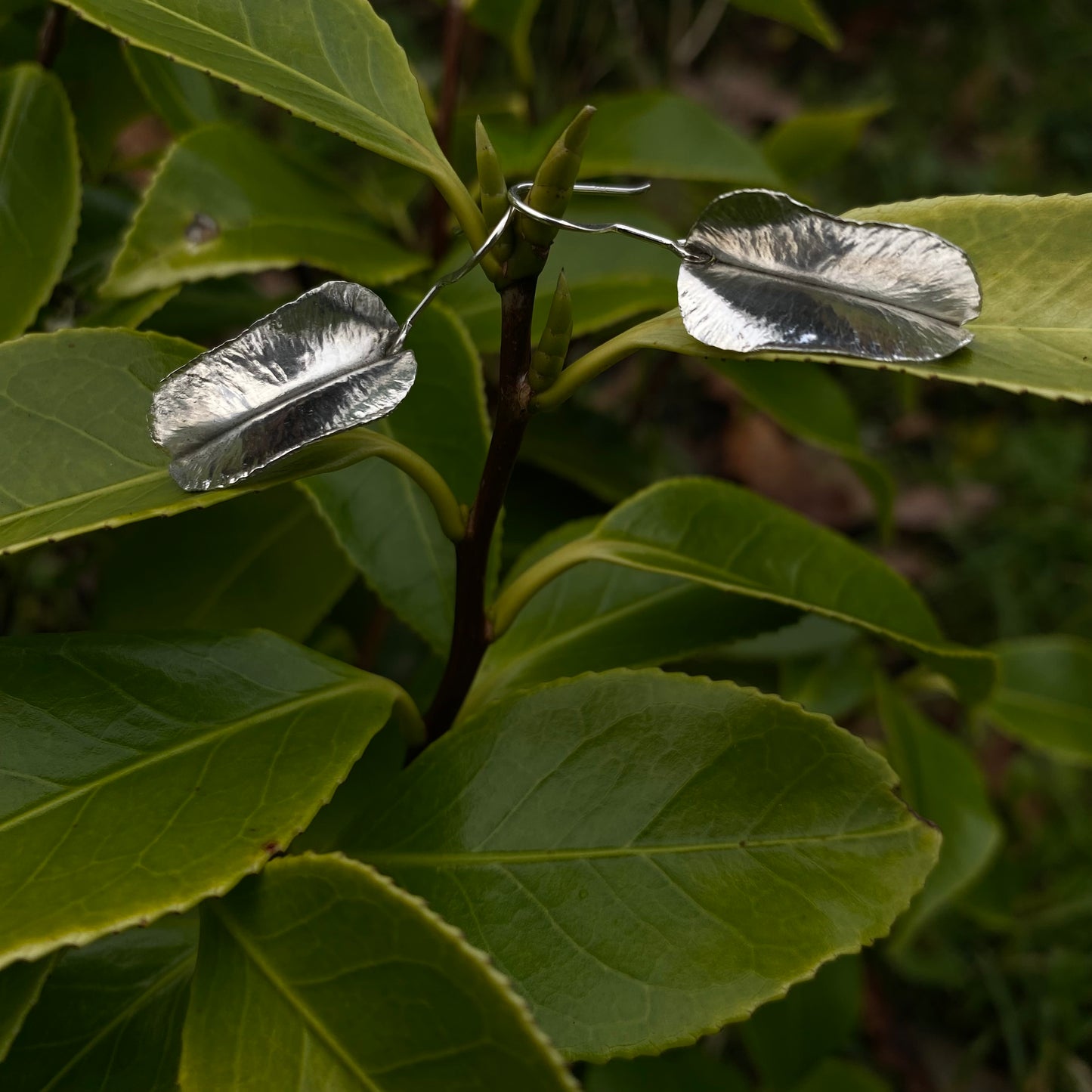 Camellia Leaf Earrings