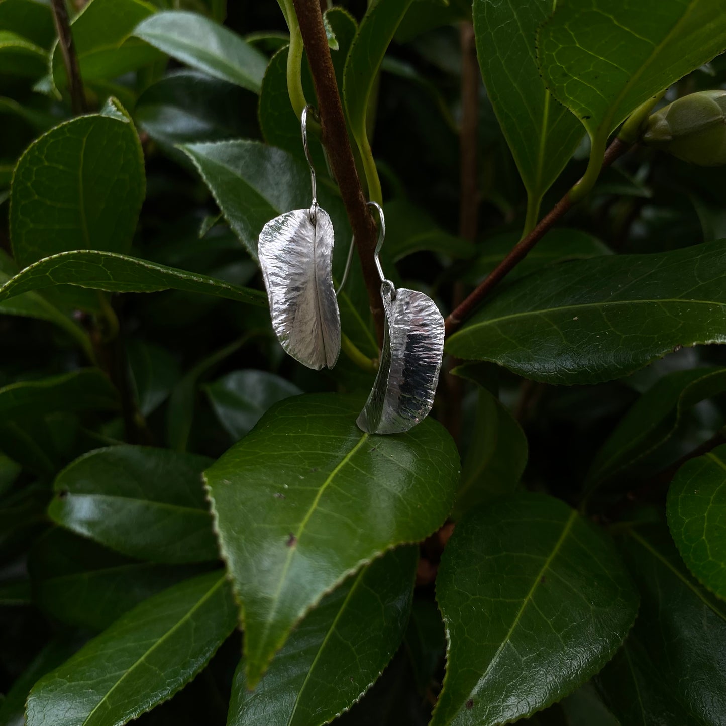 Camellia Leaf Earrings
