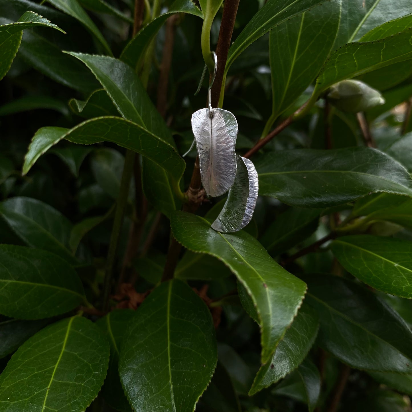 Camellia Leaf Earrings